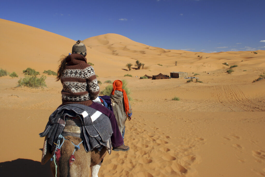 Morocco, Central Morocco, Merzouga A Moroccan guide leads a tourist camel train through the Erg Chebbi in the Sahara