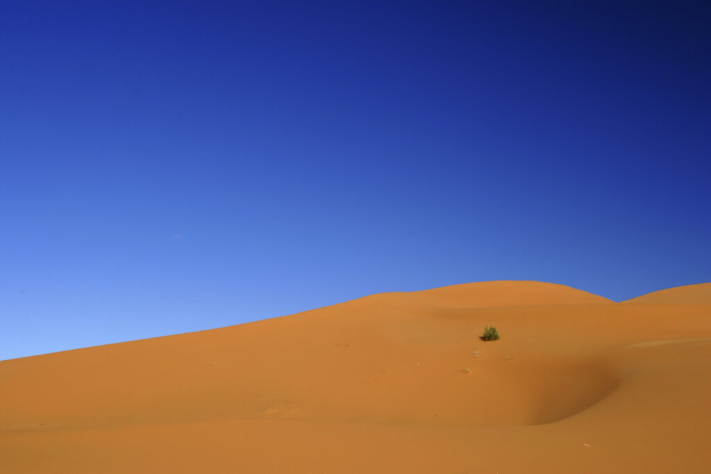 Morocco, Central Morocco, Merzouga. The undulating shapes of the dunes of the Erg Chebbi, part of the Sahara desert