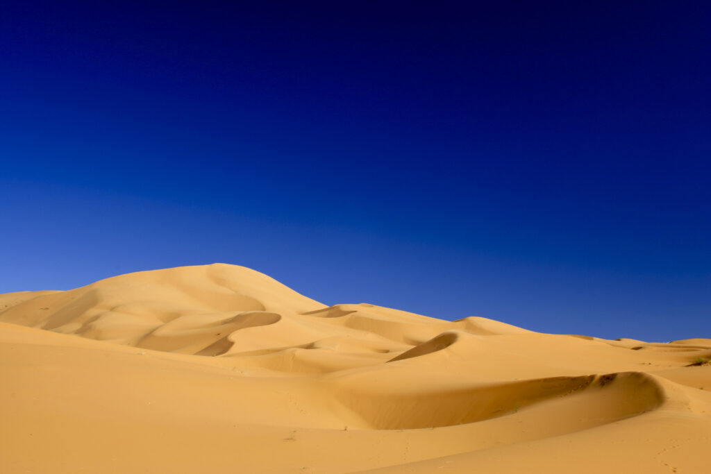 Morocco, Central Morocco, Merzouga. The undulating shapes of the dunes of the Erg Chebbi, part of the Sahara desert