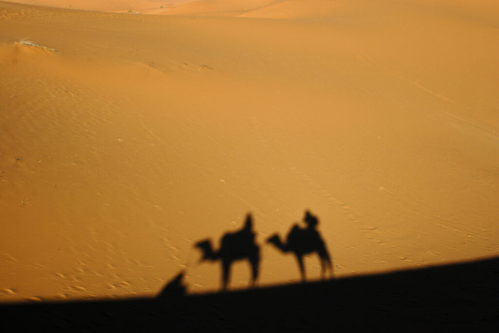 Morocco, Central Morocco, Merzouga. Camels, tourists and guides shadows are cast on the dunes of the Erg Chebbi in the Sahara Desert.