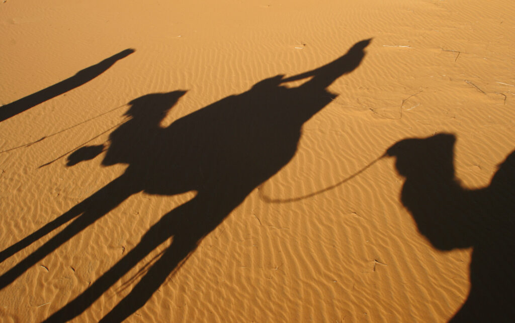 Morocco, Central Morocco, Merzouga. Camels, tourists and guides shadows are cast on the dunes of the Erg Chebbi in the Sahara Desert.