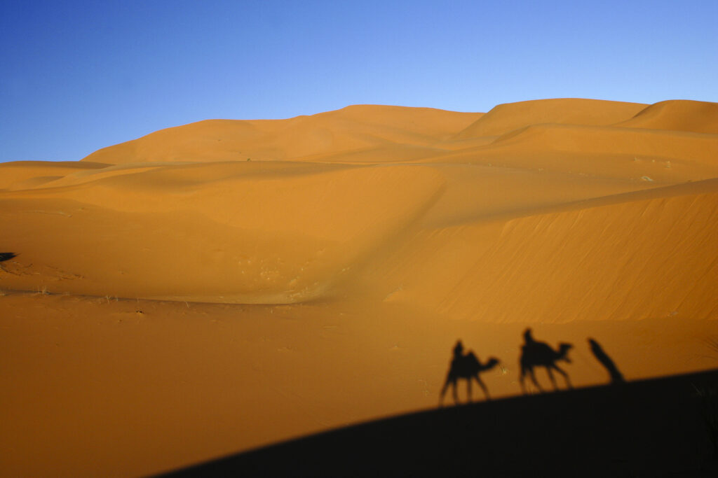 Morocco, Central Morocco, Merzouga. Camels, tourists and guides shadows are cast on the dunes of the Erg Chebbi in the Sahara Desert.