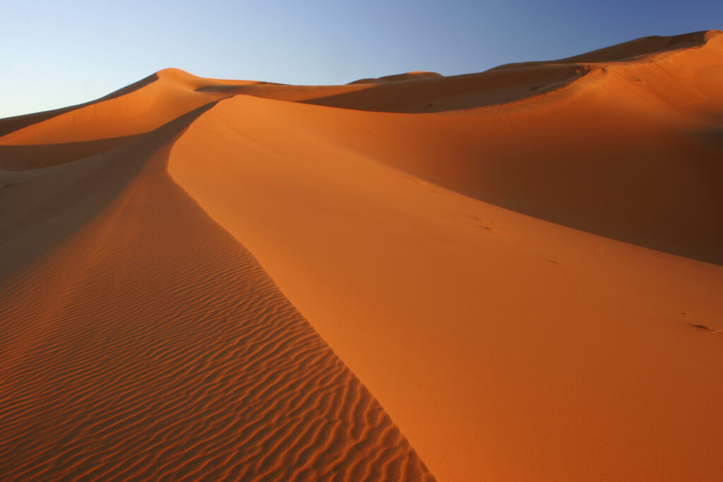 Morocco, Central Morocco, Merzouga. The undulating shapes of the dunes of the Erg Chebbi, part of the Sahara desert