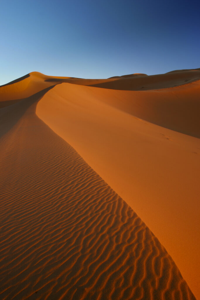 Morocco, Central Morocco, Merzouga. The undulating shapes of the dunes of the Erg Chebbi, part of the Sahara desert