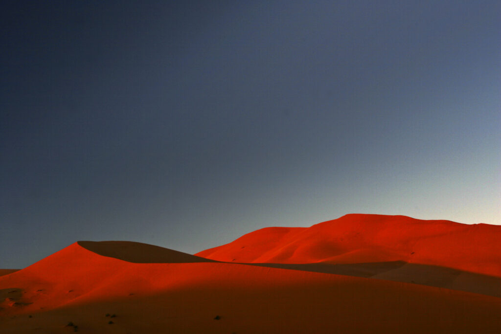 Morocco, Central Morocco, Merzouga. The undulating shapes of the dunes of the Erg Chebbi, part of the Sahara desert