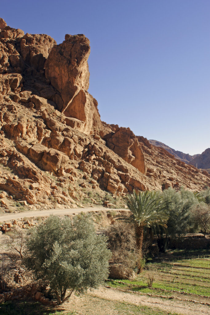 Morocco, Central Morocco, Todra Gorge. Plantation, road and mountains immediately before the entrance to the Todra Gorge.