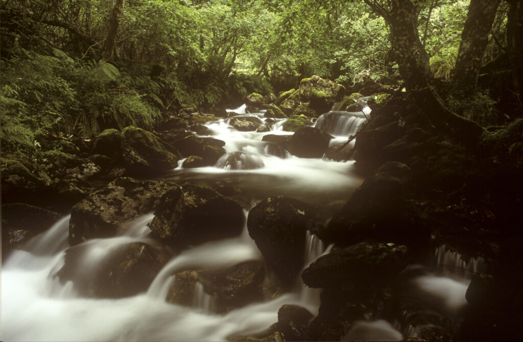 NORWAY, Sogn Og Fjordane, Flam. A fast flowing stream downstream of the Brekke Waterfall near the popular tourist destination