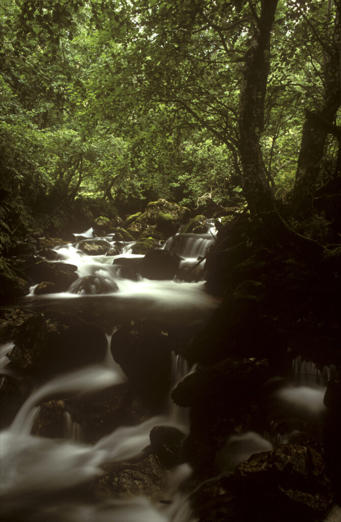NORWAY, Sogn Og Fjordane, Flam. A fast flowing stream downstream of the Brekke Waterfall near the popular tourist destination