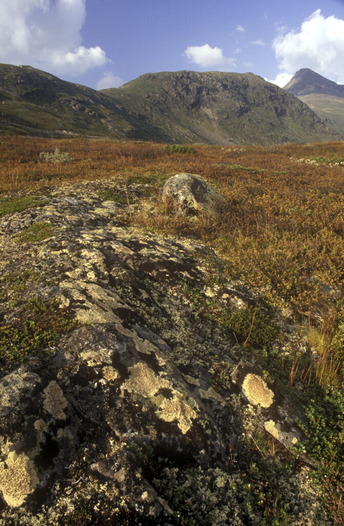 NORWAY, Sogn Og Fjordane, Jotunheimen National Park. The rugged alpine landscape of this popular national park, close to Turtagro.