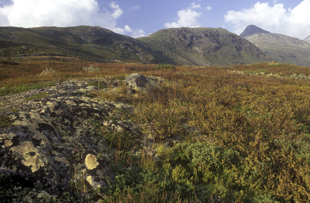 NORWAY, Sogn Og Fjordane, Jotunheimen National Park. The rugged alpine landscape of this popular national park, close to Turtagro.