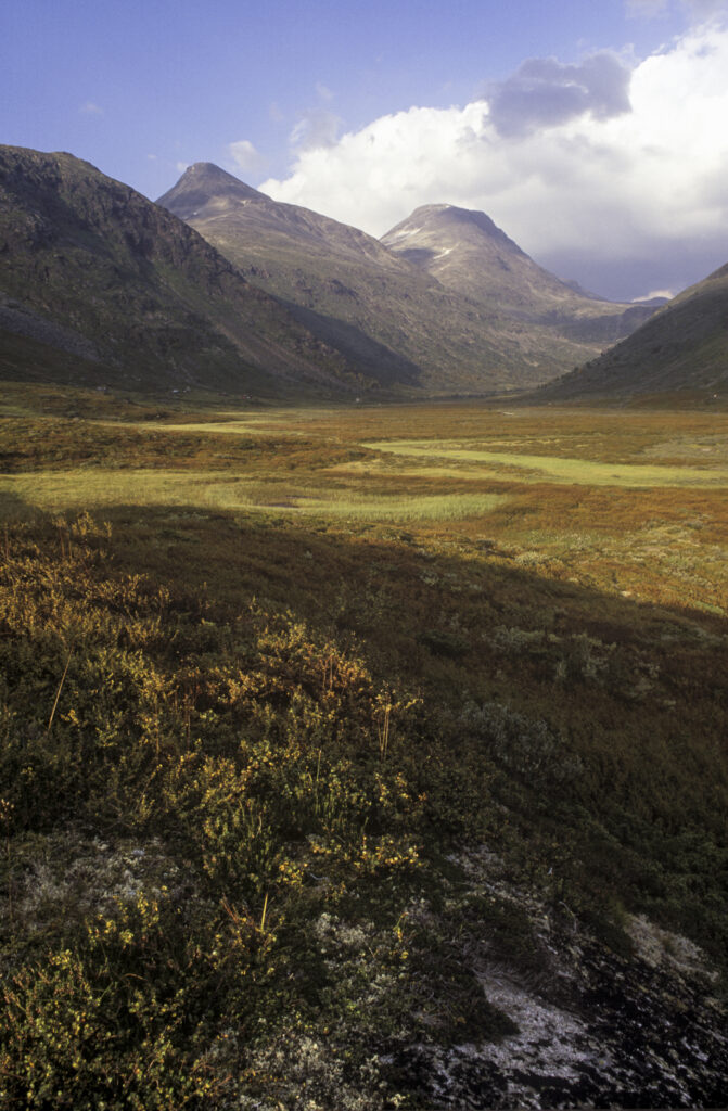 NORWAY, Sogn Og Fjordane, Jotunheimen National Park. The rugged alpine landscape of this popular national park, close to Turtagro.