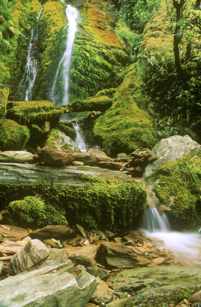 NEW ZEALAND, Marlborough, Queen Charlotte Track. Waterfall located on a short side trail running from near Furneaux Lodge