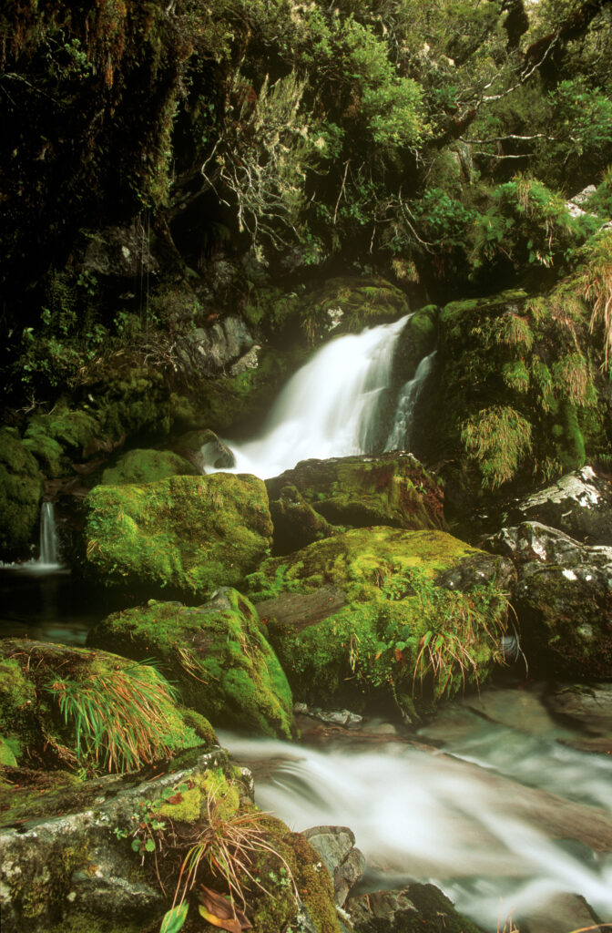 NEW ZEALAND, Otago, Fiordland National Park. Waterfall to be found on the popular Routeburn Track