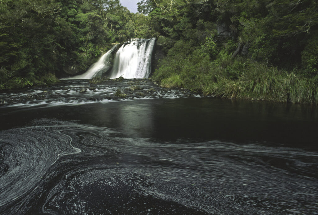 NEW ZEALAND, East Coast, Te Urewera National Park. Aniwaniwa falls and patterns formed in water downstream
