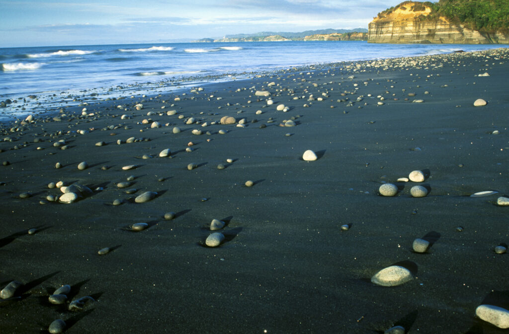 NEW ZEALAND, Taranaki, Oakura Beach. A black sand beach and golden cliffs located on the west coast of the north island