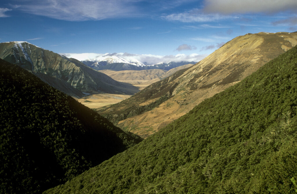 NEW ZEALAND, Canterbury, Craigieburn Forest Park. The tree covered slopes of Craigieburn Valley viewed on a mid winters day