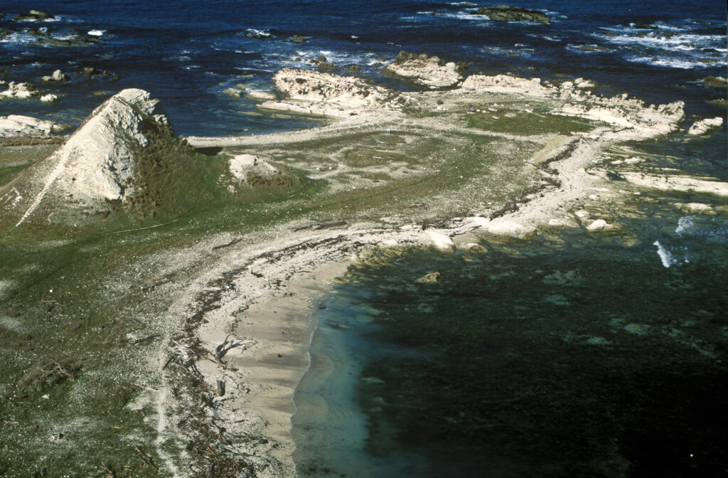 NEW ZEALAND, Marlborough, Kaikoura. Sugarloaf point located on a stretch of coastline south of Kaikoura