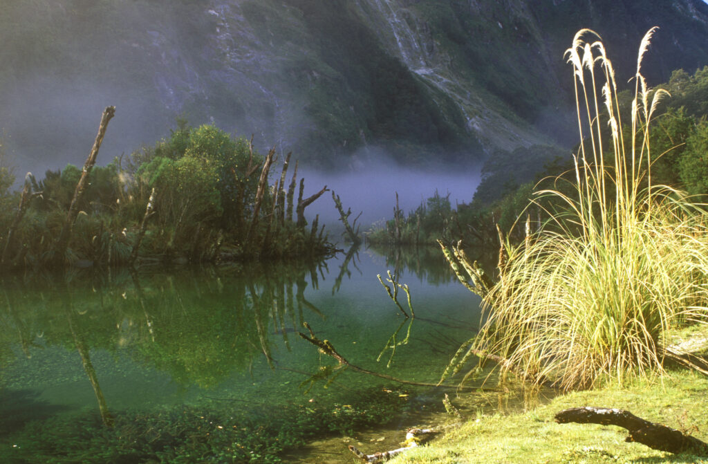 NEW ZEALAND, Southland, Fiordland National Park. Mist rising from the clinton river with the mountains of fiordland behind.