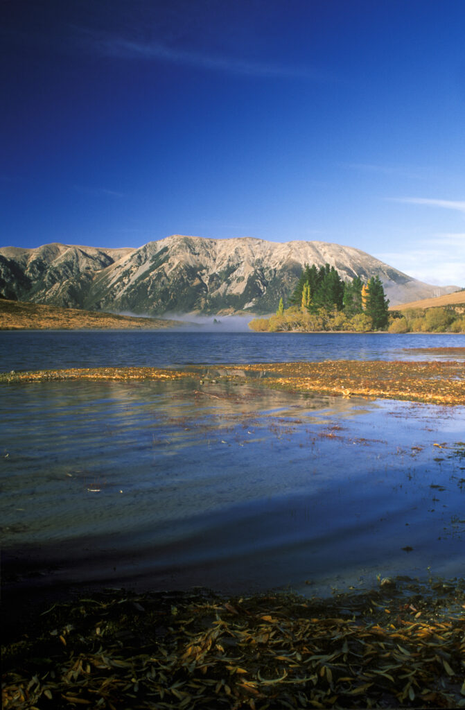 NEW ZEALAND, Canterbury, Craigieburn. The golden autumn colours of Lake Pearson and surrounding mountains and trees.