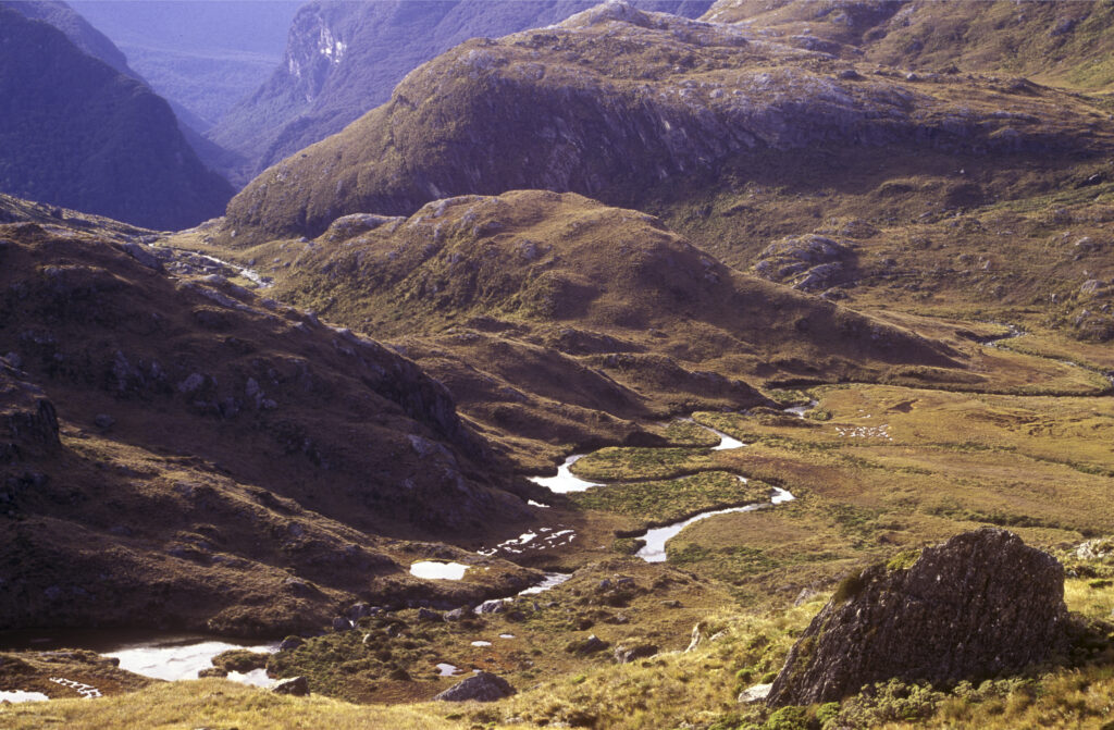 NEW ZEALAND, Mt Aspiring National Park. The Routeburn viewed from the Harris saddle on the popular Routeburn Track