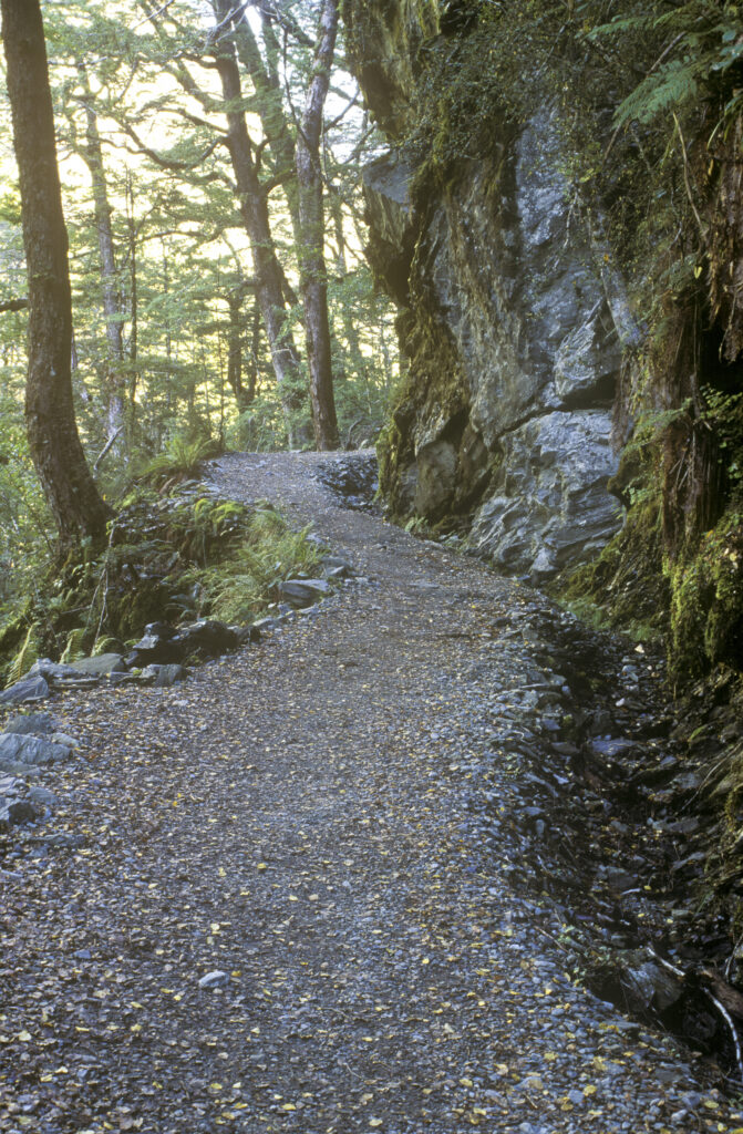 NEW ZEALAND, Otago, Mt Aspiring National Park. The well formed twisting path at the start of the Routeburn Track
