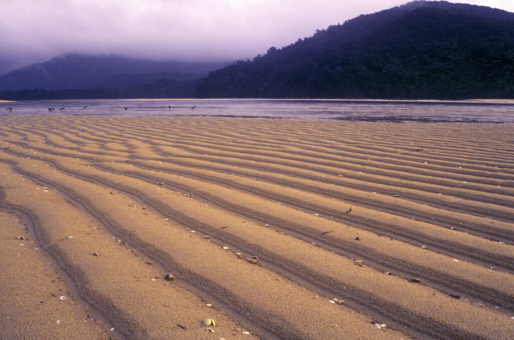NEW ZEALAND, Marlborough, Able Tasman National Park. The natural patterns of the Awaroa Estuary