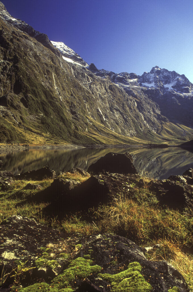 NEW ZEALAND, Southland, Fiordland National Park. The Darran mountain range reflected in the still waters of Lake Marian