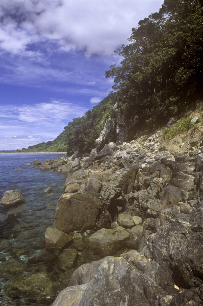NEW ZEALAND, Wellington, Kapiti Island. The rocky coastline of the scenic island viewed from north shore track.