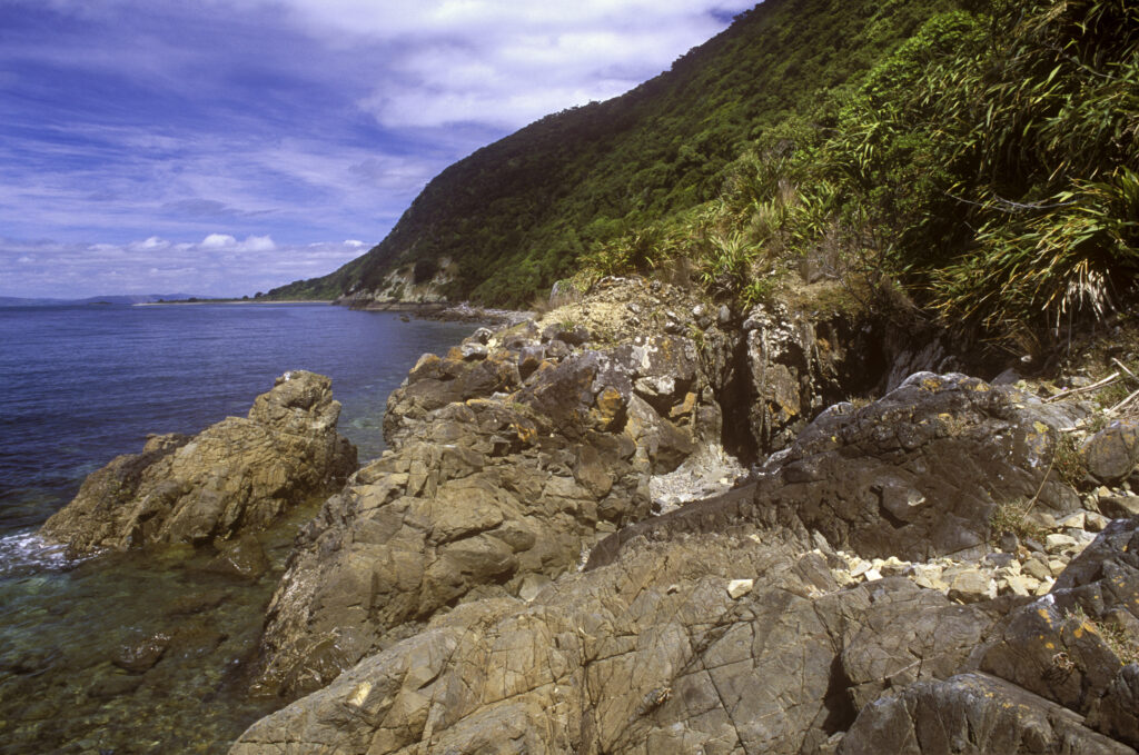 NEW ZEALAND, Wellington, Kapiti Island. The rocky coastline of the scenic island viewed from north shore track.