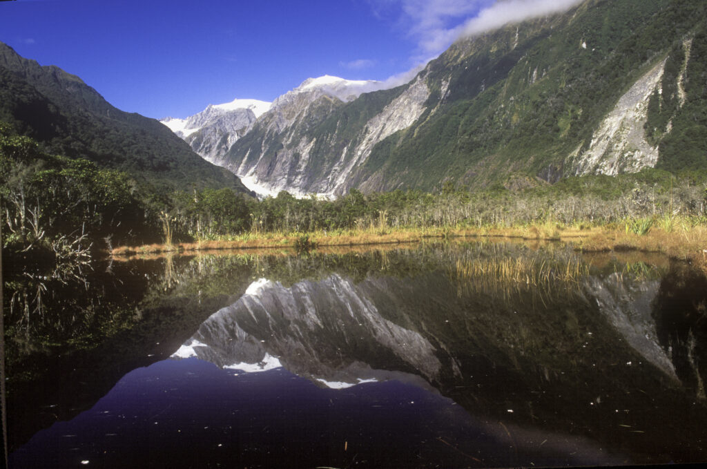 NEW ZEALAND, West Coast, Westland National Park. Franz Josef Glacier reflected in the still waters of Peters Pool