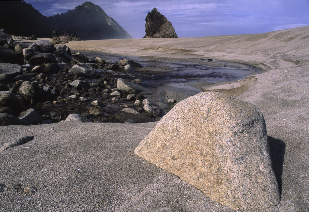 NEW ZEALAND, West Coast, Scotts Beach. The rugged coastline of Kahurangi National Park on the Heaphy Track