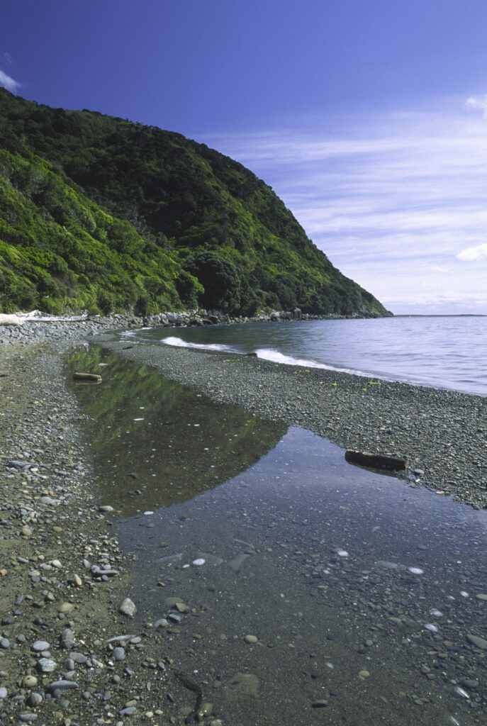 NEW ZEALAND, Wellington, Kapiti Island. A sand bar located on a beach of the picturesque island