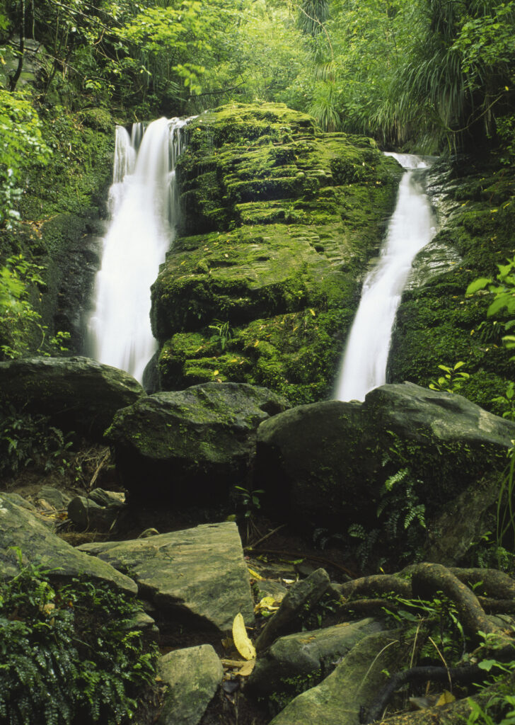 NEW ZEALAND, Marlborough, Ship Cove. Waterfall situated near the starting point for the Queen Charlotte Track a 67 km tramp