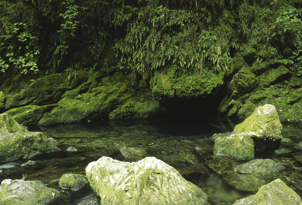 NEW ZEALAND, Marlborough, Kahurangi National Park. Source of the Riwaka River found within the boundary of Kahurangi National Park.
