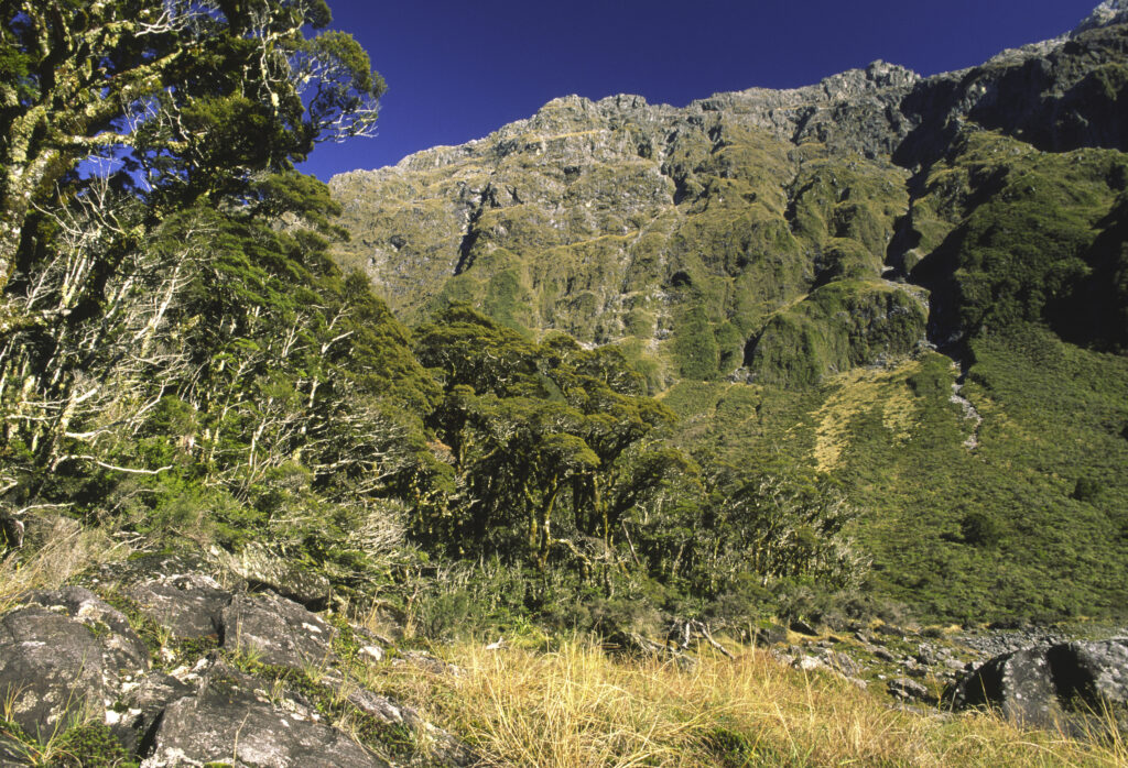 NEW ZEALAND, Southland, Fiordland National Park. The hanging valley surrounded by the Darren mountain range home to Lake Marian