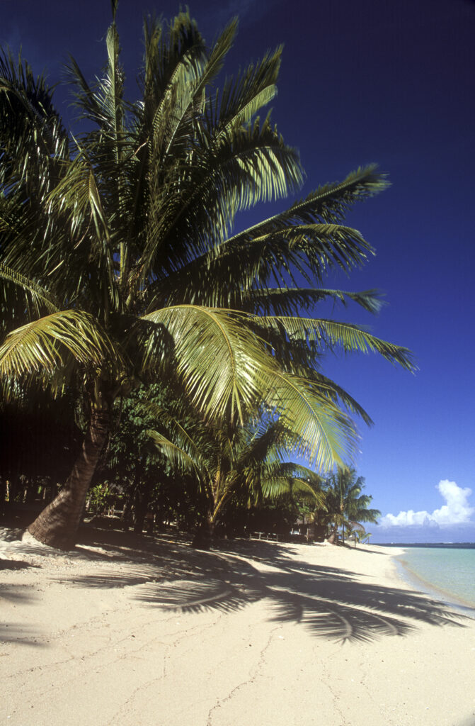 INDEPENDENT SAMOA, Savai'I, Manase Beach. The pristine white sands of this tropical beach, with simple Fales offering shelter.