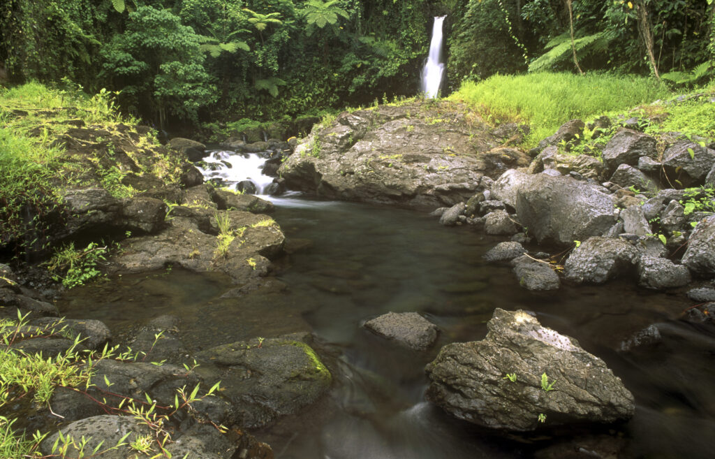 INDEPENDENT SAMOA, Savai'I, Olemoe Falls. The flowing waters and surrounding rainforest of this tranquil location.
