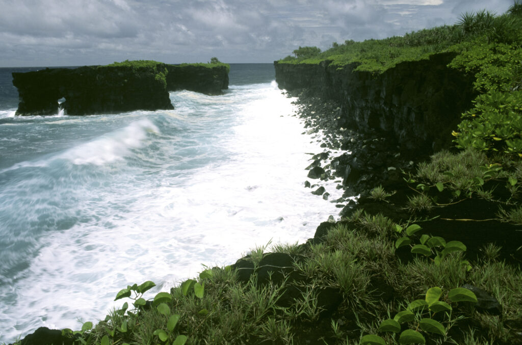 INDEPENDENT SAMOA, Upolu, O Le Pupu-pe'e National Park. The volcanic landscape of the O Le Pupu lava coast.