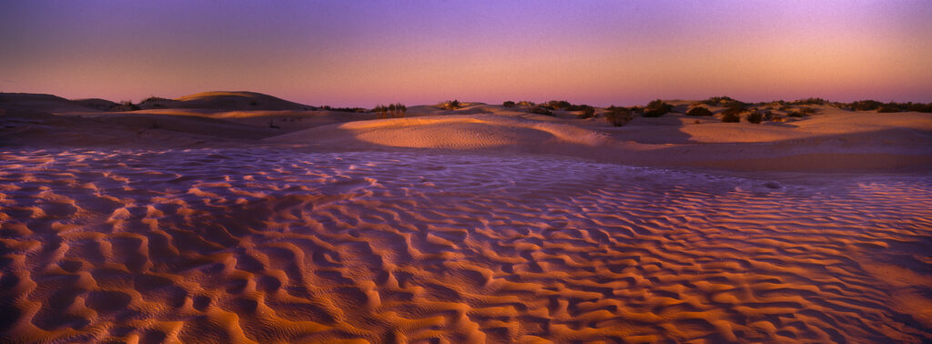 TUNISIA, Zaafrane, Sahara Desert. Morning light illuminates the frost covered patterns of the sand dunes of the great erg oriental.