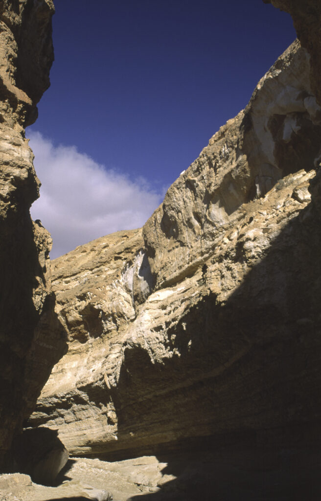 TUNISIA, Chebika Region, Tamerza. A spectacular gorge carved through the landscape surrounding the town.