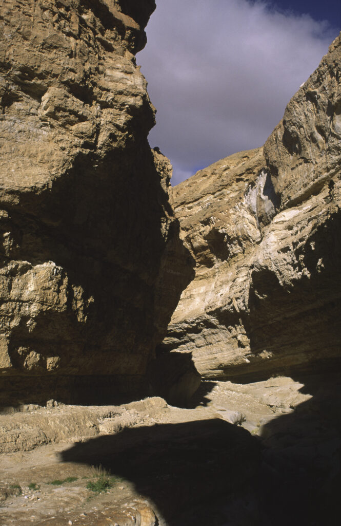 TUNISIA, Chebika Region, Tamerza. A spectacular gorge carved through the landscape surrounding the town.