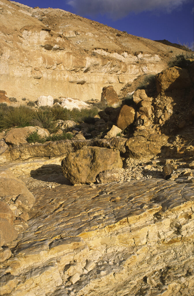 TUNISIA, Chebika Region, Tamerza. The colourful rock formations in the harsh mountain landscape surrounding the town.