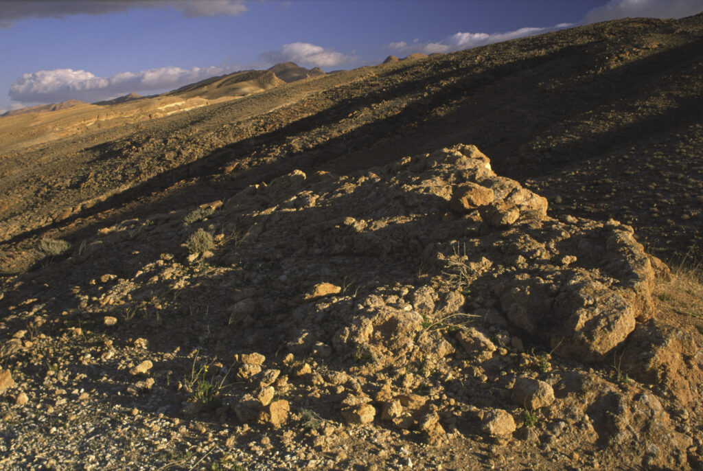 TUNISIA, Chebika Region, Tamerza. Late afternoon light illuminates the rocky landscape surrounding the town.