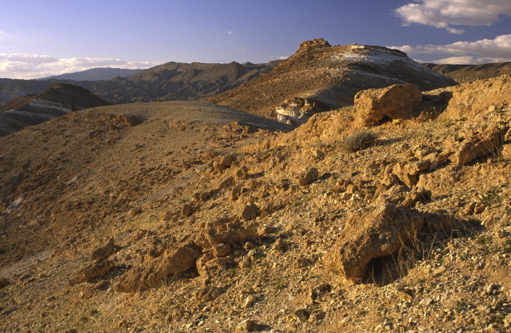 TUNISIA, Chebika Region, Tamerza. Late afternoon light illuminates the rocky landscape surrounding the town.