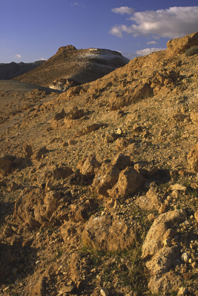 TUNISIA, Chebika Region, Tamerza. Late afternoon light illuminates the rocky landscape surrounding the town.