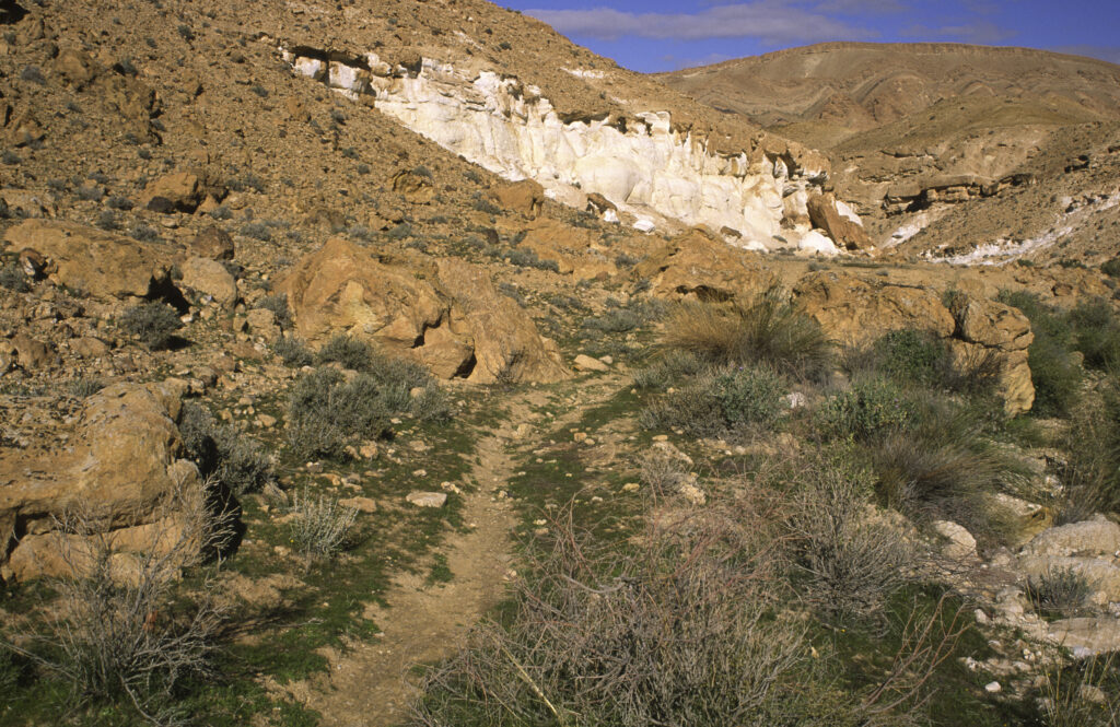 TUNISIA, Chebika Region, Tamerza. The colourful rocks and features of the landscape surrounding the town.