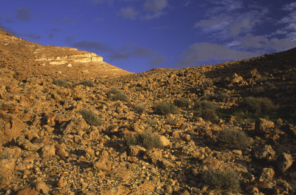 TUNISIA, Chebika Region, Tamerza. Soft evening light illuminates the mountainous landscape found near to the town.