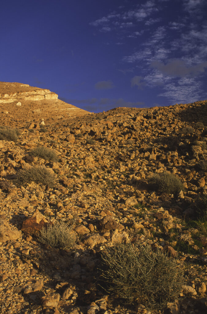 TUNISIA, Chebika Region, Tamerza. Soft evening light illuminates the mountainous landscape found near to the town.