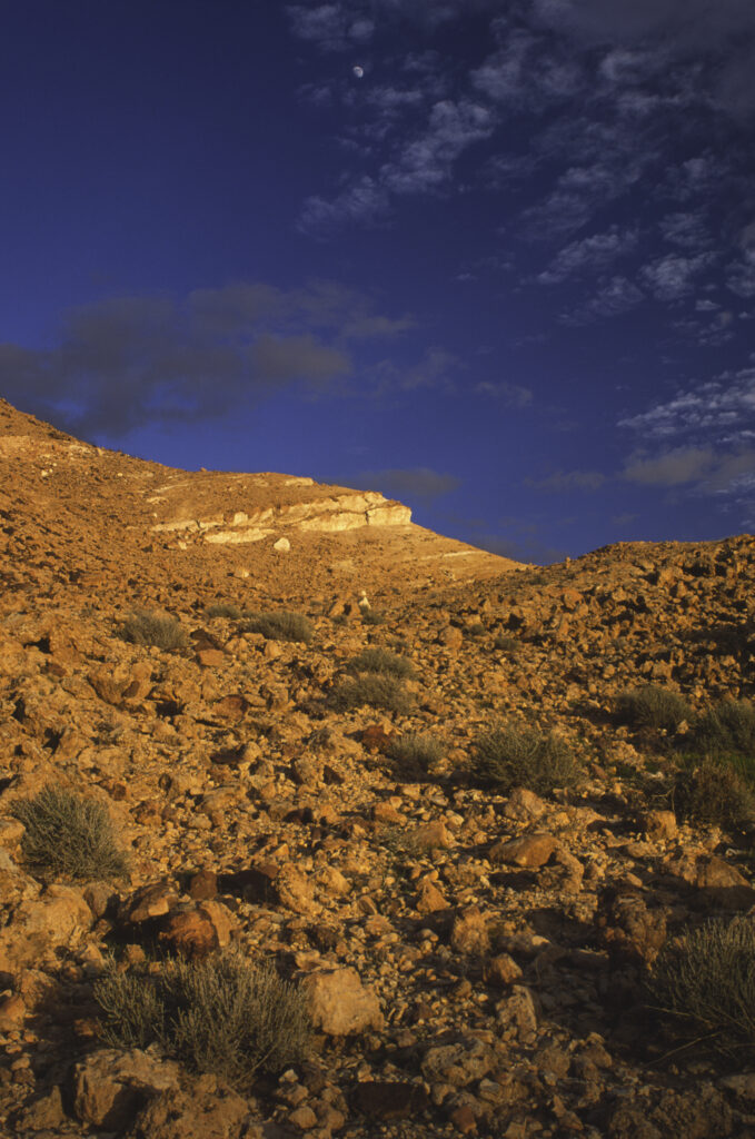 TUNISIA, Chebika Region, Tamerza. Soft evening light illuminates the mountainous landscape found near to the town.