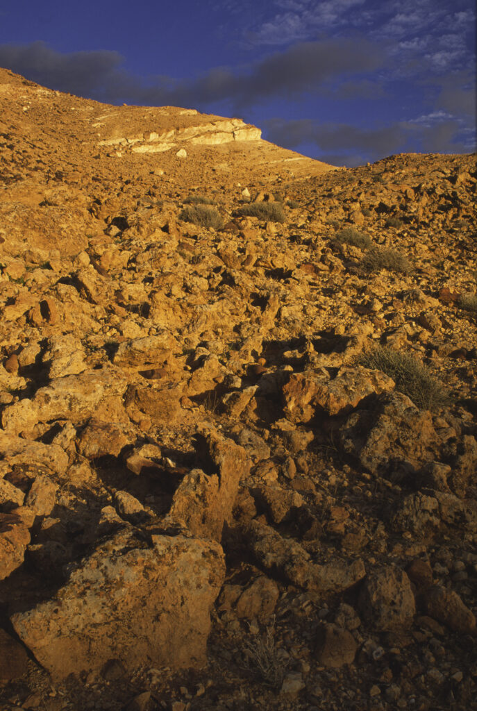 TUNISIA, Chebika Region, Tamerza. Soft evening light illuminates the mountainous landscape found near to the town.